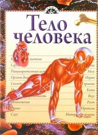 Тело человека Тело человека