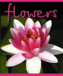 Тет.48л.мел.Flower-36167 (4в) Тет.48л.мел.Flower-36167 (4в)