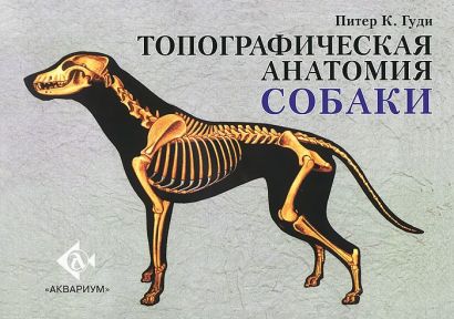 Топографическая анатомия собаки - фото 1