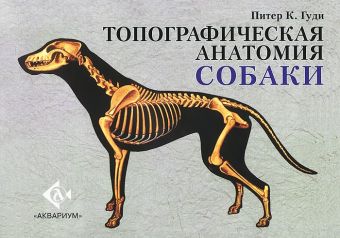 Топографическая анатомия собаки фольмерхаус б фревейн й анатомия собаки и кошки