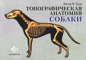 Топографическая анатомия собаки Топографическая анатомия собаки Гуди П.К.