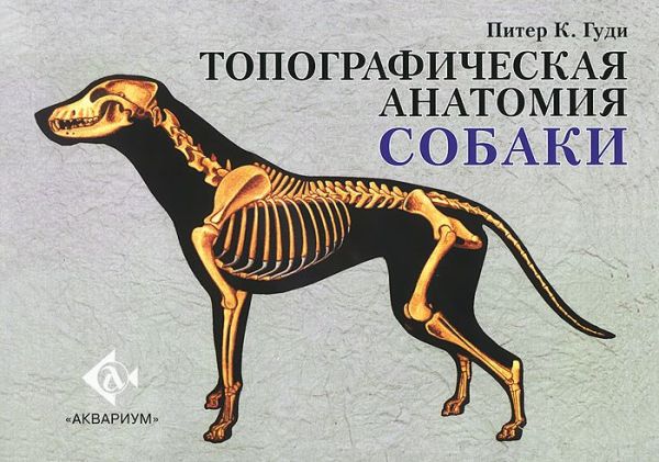 Топографическая анатомия собаки Топографическая анатомия собаки Гуди П.К.