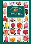 Тюльпаны