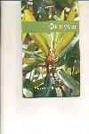 Фикусы Фикусы Чекурова Г.В