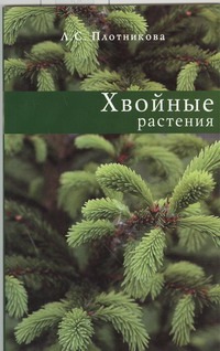Хвойные растения Хвойные растения Плотникова Л. С.