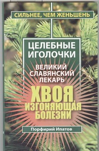 Хвоя, изгоняющая болезни. Великий славянский лекарь