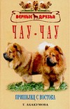 Чау-чау Чау-чау Абакумова Т.И.
