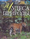 Чудеса природы Чудеса природы Ухарцева А.В.