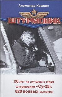 Штурмовик Штурмовик Кошкин А.