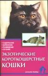 Экзотические короткошерстные кошки