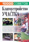 Благоустройство участка