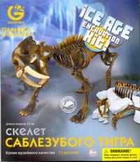 G.Ледниковый период Скелет Саблезубого Тигра