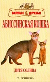 Абиссинская кошка
