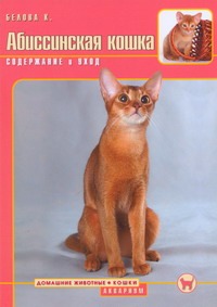 Абиссинская кошка : содержание и уход