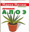 Алоэ Алоэ Сабурова О.