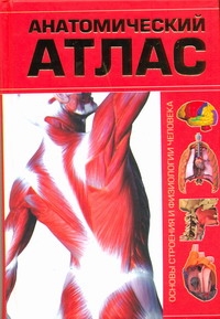 Анатомический атлас. Основы строения и физиологии человека