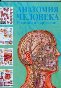 Анатомия человека. Болезни и нарушения Анатомия человека. Болезни и нарушения Махиянова Е.Б.