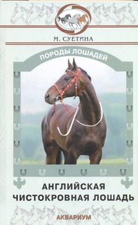 Английская чистокровная лошадь