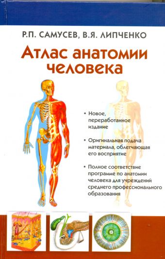 Атлас анатомии человека Атлас анатомии человека Липченко В.Я., Самусев Р.П.