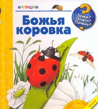 Божья коровка Божья коровка