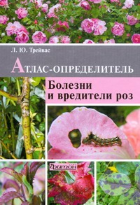 Болезни и вредители роз
