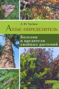 Болезни и вредители хвойных растений Болезни и вредители хвойных растений Трейвас Л.Ю.