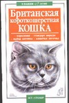 Британская короткошерстная кошка