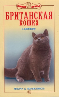 Британская кошка Британская кошка Шевченко Е.А.