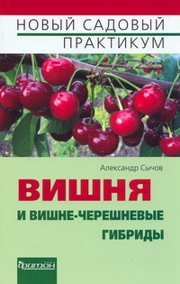 Вишня Вишня Сычов А