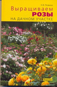 Выращиваем розы на дачном участке