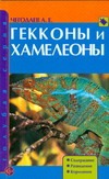 Гекконы и хамелеоны Гекконы и хамелеоны Чагодаев А.Е.