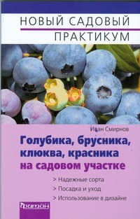 Голубика, брусника, клюква, красника на садовом участке