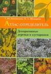 Декоративные деревья и кустарники