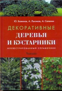 Декоративные деревья и кустарники
