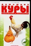 Домашние куры Домашние куры Рахманов А.И.
