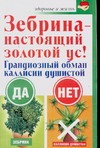 Зебрина - настоящий золотой ус Зебрина - настоящий золотой ус Савина Анастасия