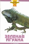 Зеленая игуана
