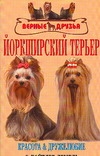 Йоркширский терьер Йоркширский терьер Бойтлер-Демель С