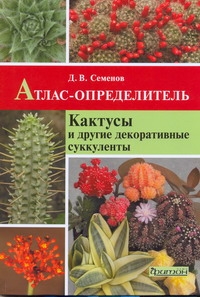 Кактусы и другие декор.суккуленты