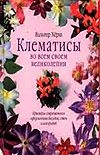 Клематисы во всем своем великолепии
