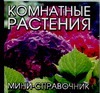 Комнатные растения Комнатные растения