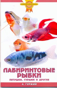 Лабиринтовые рыбки. Петушки, гурами и другие