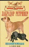 Лабрадор ретривер.