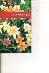 Лилейники