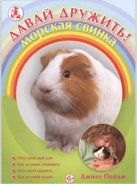 Морская свинка
