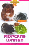 Морские свинки