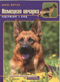 Немецкая овчарка содержание и уход