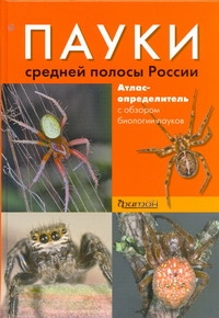 Пауки средней полосы России