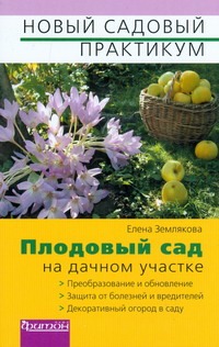 Плодовый сад на дачном участке