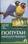 Попугаи-неразлучники Попугаи-неразлучники Рахманов А.И.